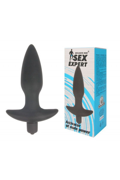 Анальная пробка Sex Expert с вибрацией - 10,5 см. Анальная пробка Sex Expert с вибрацией - 10,5 см.