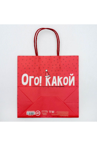 Подарочный пакет Ого! Какой подарок - 22 х 22 см. Подарочный пакет Ого! Какой подарок - 22 х 22 см.