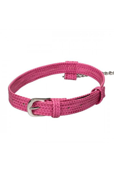 Розовый ошейник с поводком Tickle Me Pink Collar With Leash Розовый ошейник с поводком Tickle Me Pink Collar With Leash