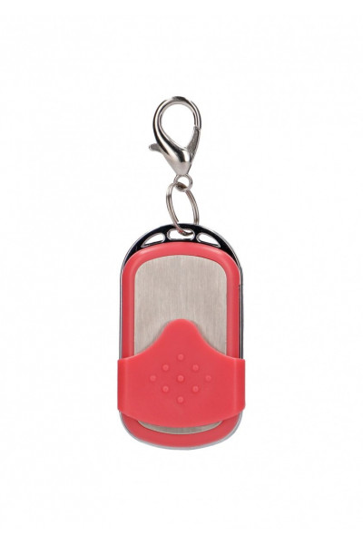 Розовое виброяйцо Vibrating G-spot Egg medium с пультом ДУ Розовое виброяйцо Vibrating G-spot Egg medium с пультом ДУ