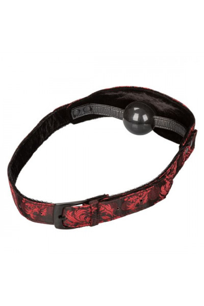 Закрытый кляп-шарик Hidden Pleasure Ball Gag Закрытый кляп-шарик Hidden Pleasure Ball Gag