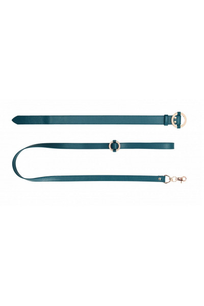 Зеленый ошейник с поводком Collar With Leash